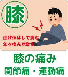 根本改善|谷山骨盤整骨院